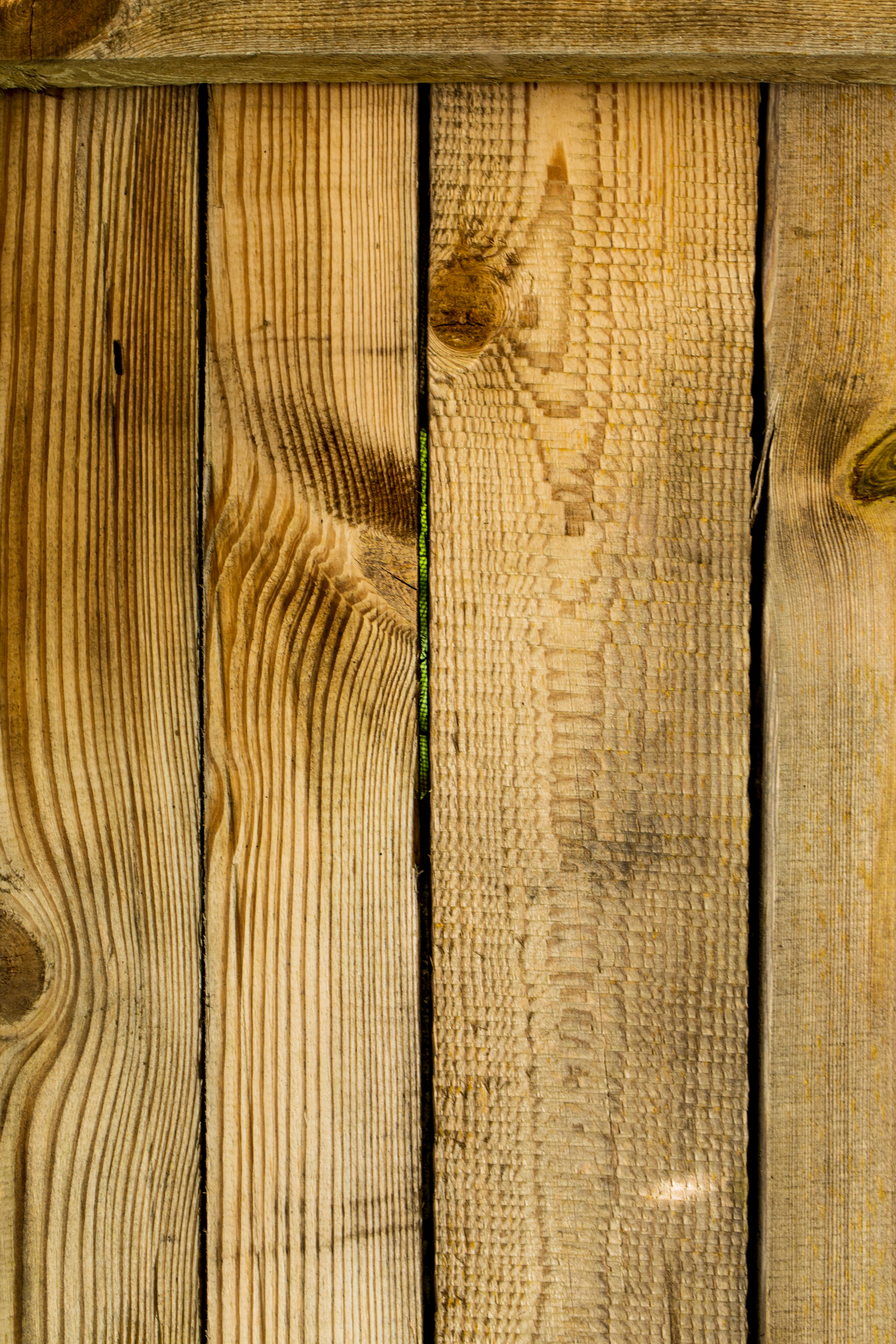 Completed timber gate on finished fence by Eastern Decks, East Auckland